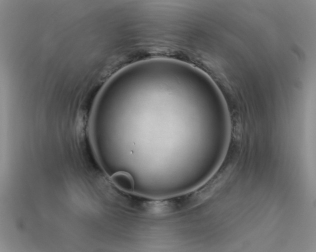 X0000113530273200909181141
