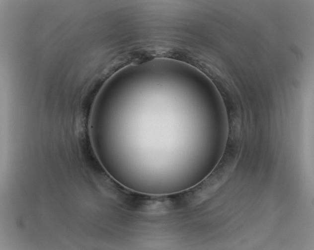X0000113530274200909181141