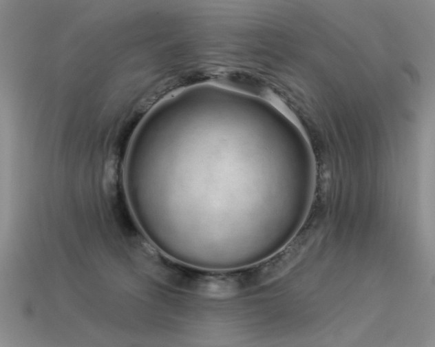 X0000113530275200909181141