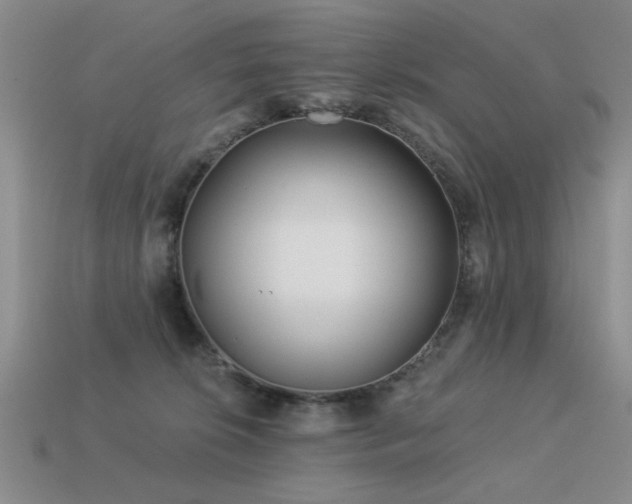 X0000113530276200909181141