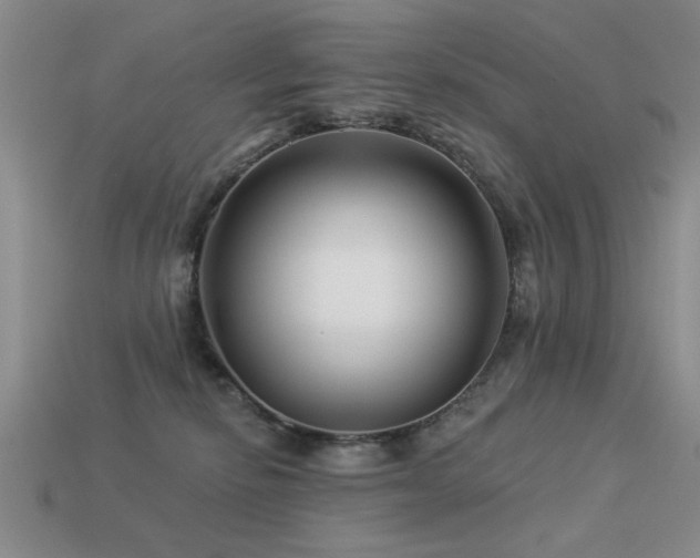 X0000113530278200909181141