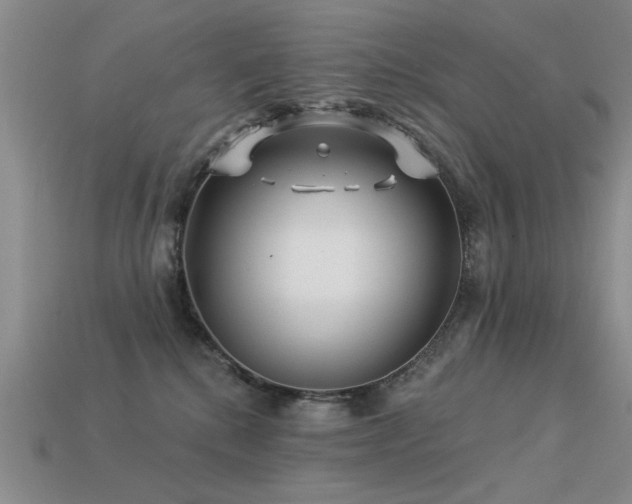 X0000113530280200909181141