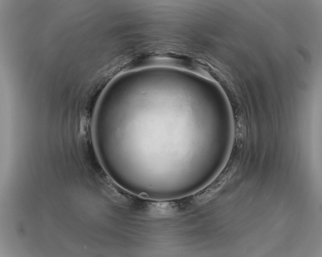 X0000113530281200909181141