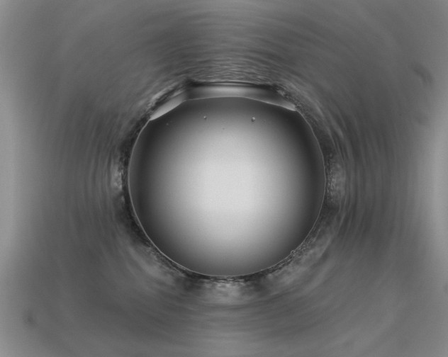 X0000113530282200909181141