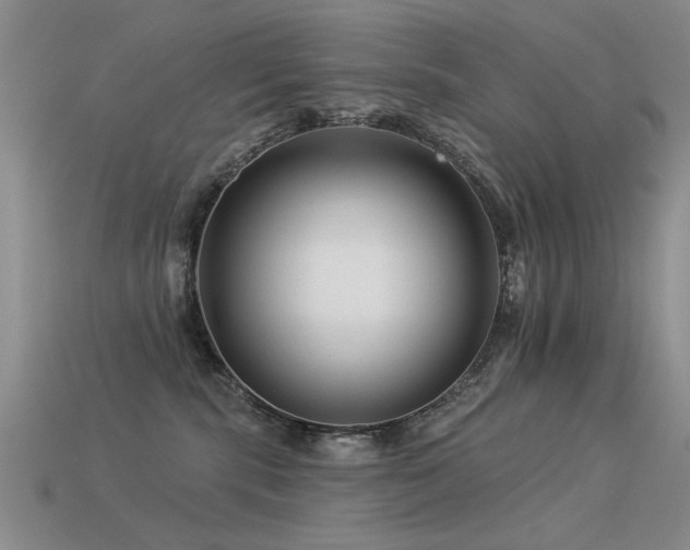 X0000113530283200909181141