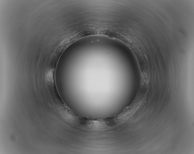 X0000113530286200909181141