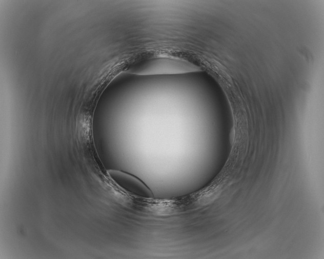 X0000113530288200909181141