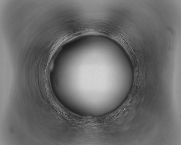 X0000113530289200909181141