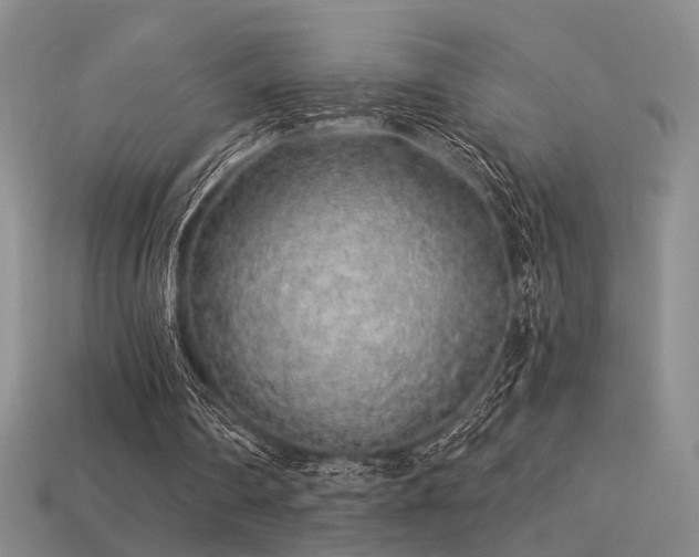 X0000113530290200909181141