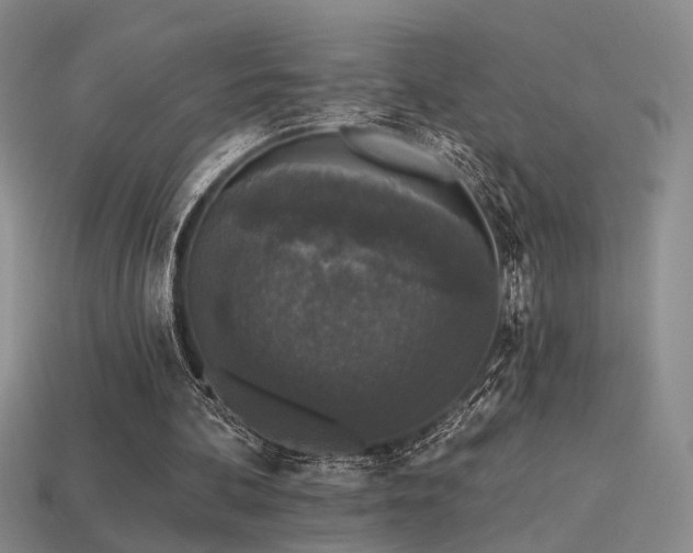 X0000113530292200909181141