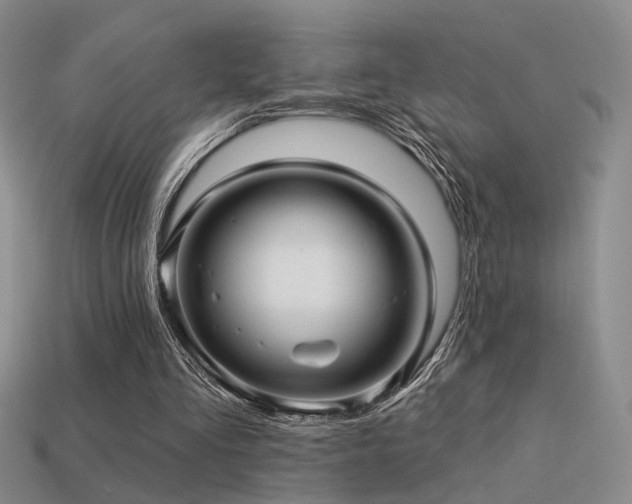 X0000113530293200909181141