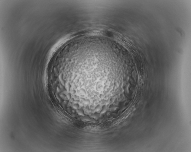 X0000113530294200909181141