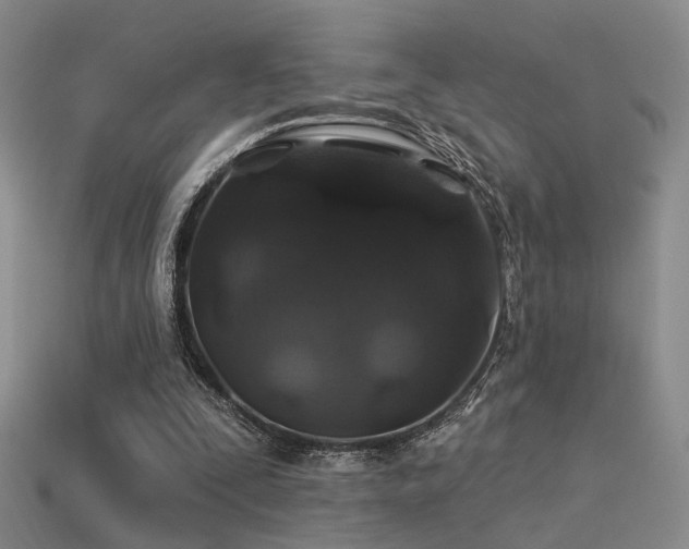 X0000113530295200909181141