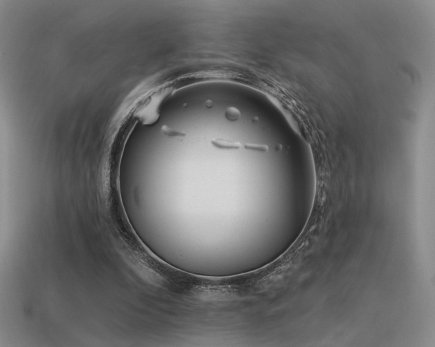 X0000113530296200909181141