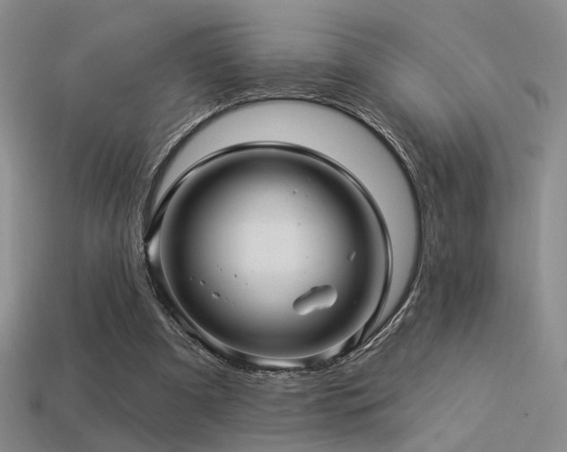 X0000113530297200909181141