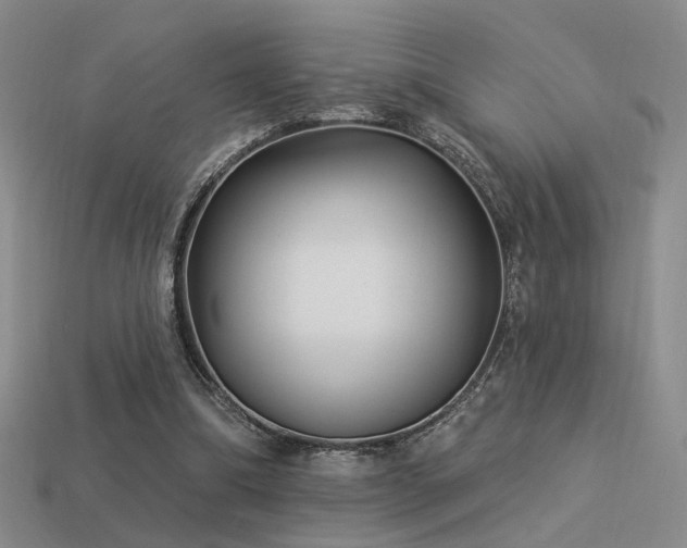 X0000113530298200909181141