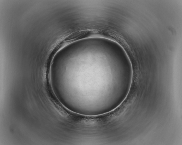 X0000113530299200909181141
