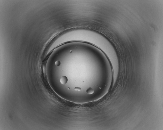 X0000113530300200909181141