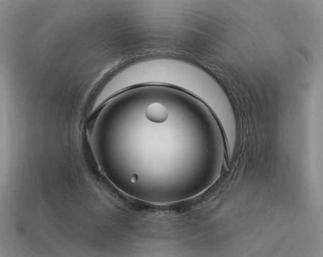 X0000113530304200909181141