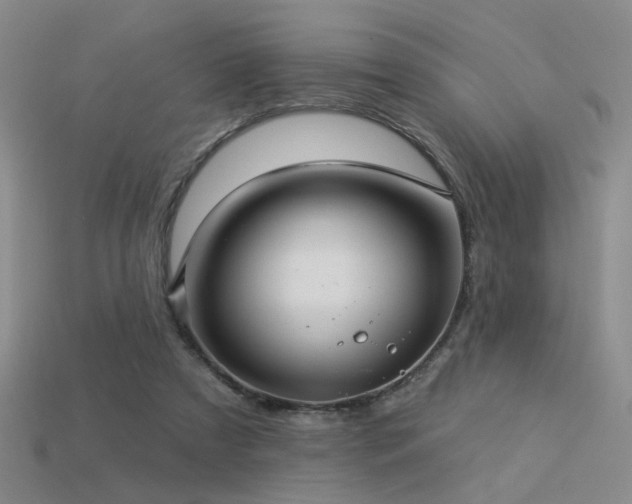 X0000113530305200909181141