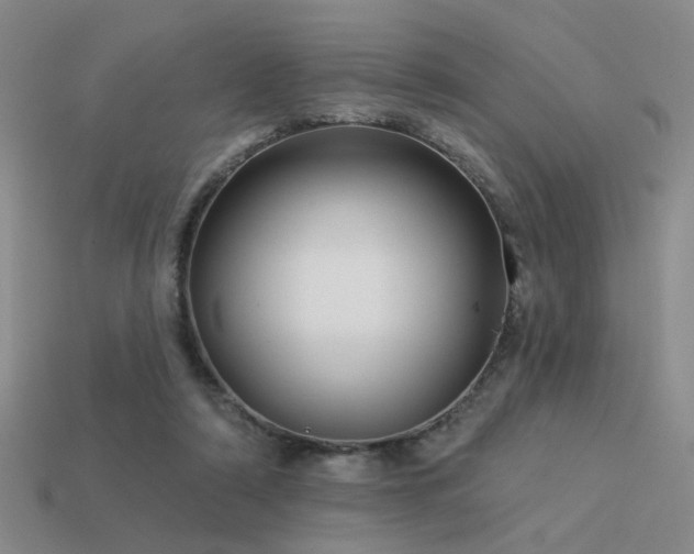 X0000113530306200909181141