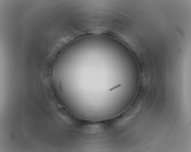 X0000113530307200909181141