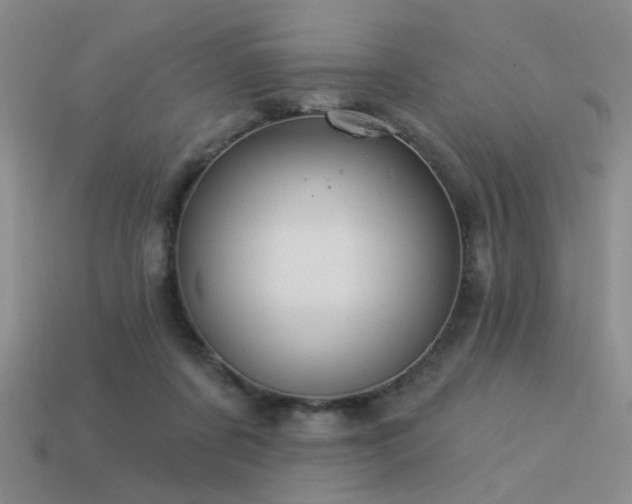 X0000113530311200909181141