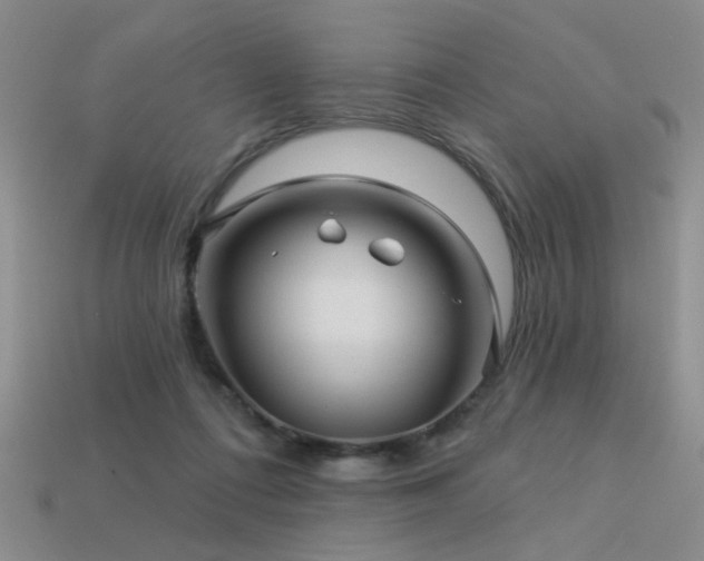 X0000113530312200909181140