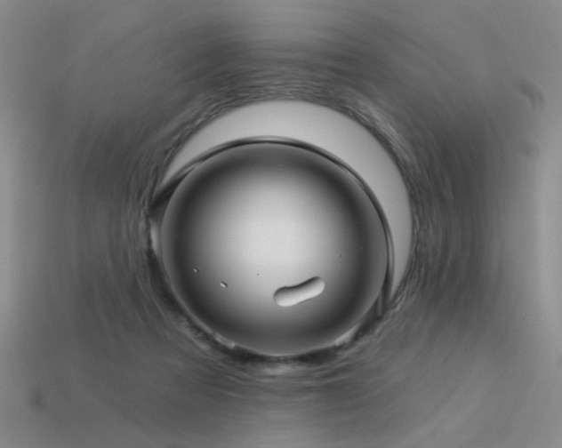 X0000113530313200909181140