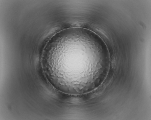 X0000113530314200909181140