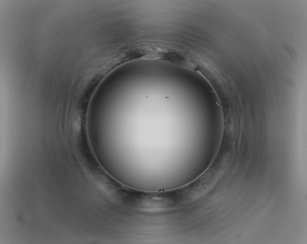 X0000113530315200909181140