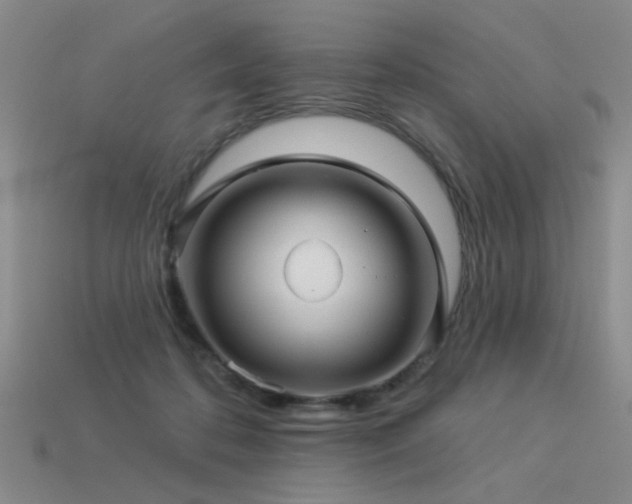X0000113530316200909181140