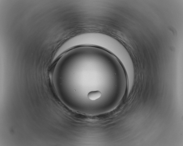 X0000113530317200909181140