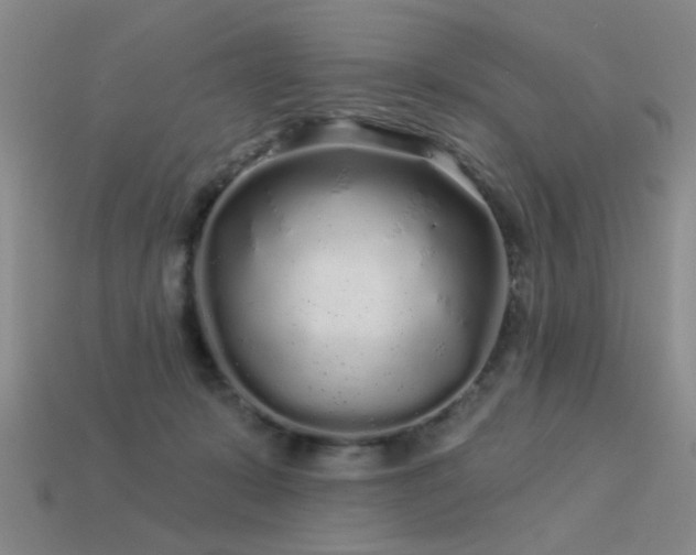 X0000113530319200909181140