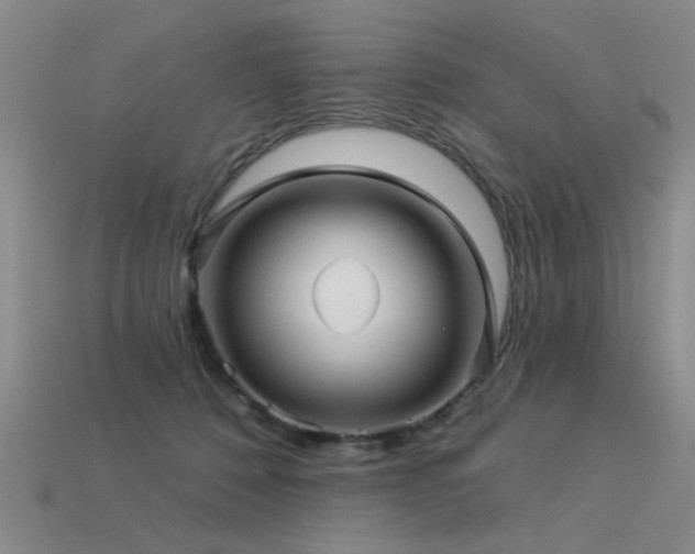 X0000113530320200909181140