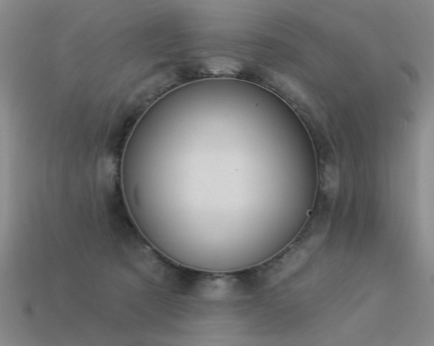 X0000113530321200909181140