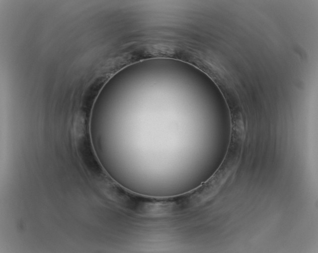 X0000113530323200909181140