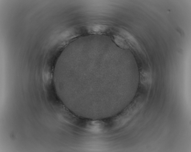 X0000113530324200909181140