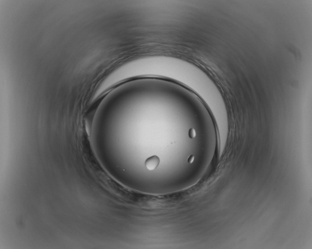 X0000113530325200909181140