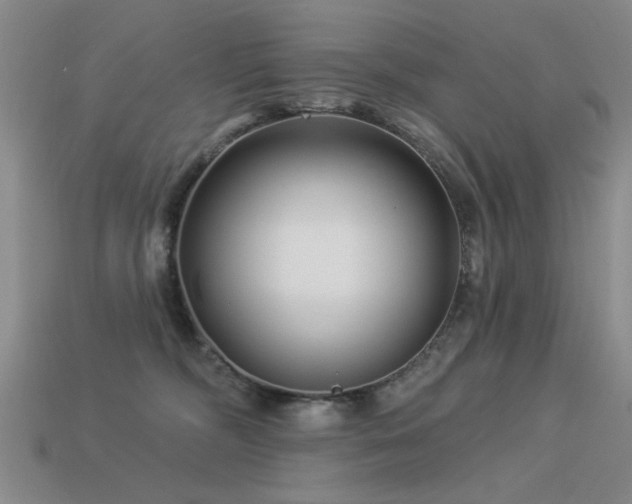 X0000113530326200909181140