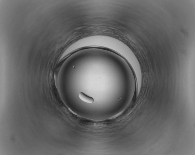 X0000113530327200909181140