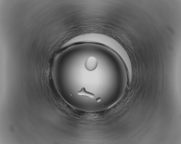 X0000113530328200909181140