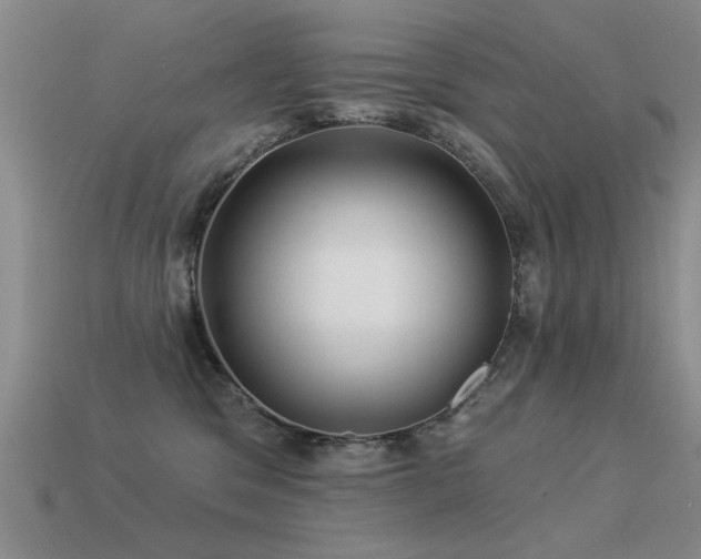 X0000113530329200909181140