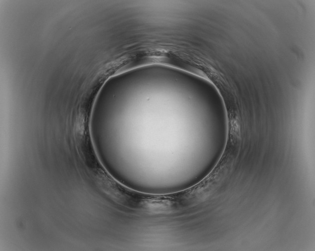 X0000113530331200909181140