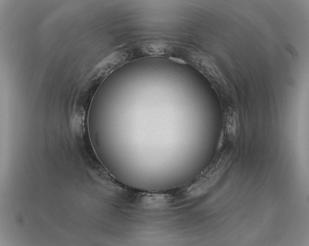X0000113530332200909181140