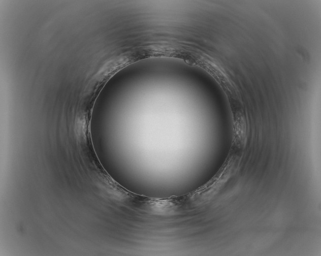 X0000113530333200909181140