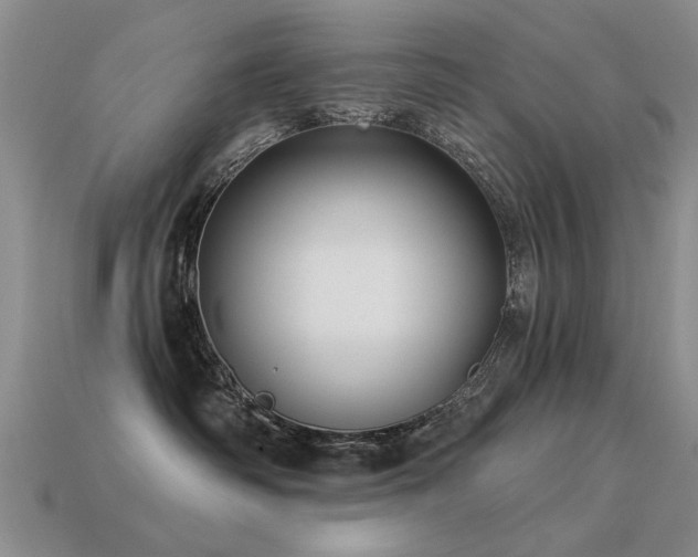 X0000113530334200909181140