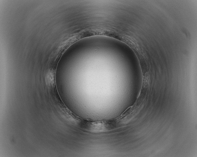 X0000113530335200909181140