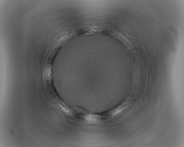 X0000113530336200909181140