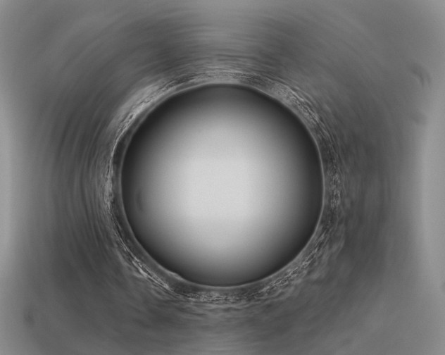 X0000113530338200909181139